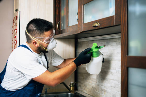 Best Pest Control Near Me in North River Shores, FL