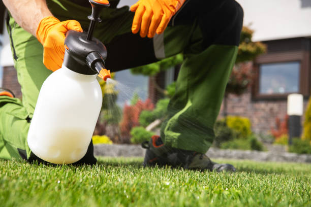 Best Local Pest Control Services  in North River Shores, FL