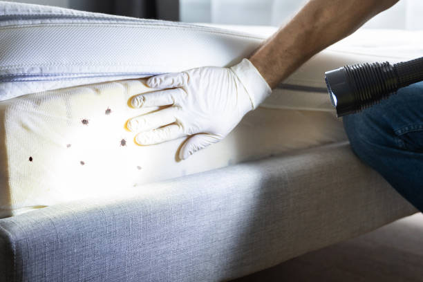 Best Exterminator Services  in North River Shores, FL