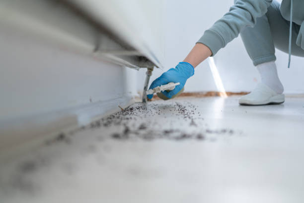 Best Wildlife Control Services  in North River Shores, FL