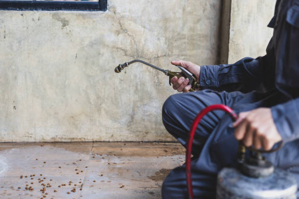 Pest Control Cost in North River Shores, FL